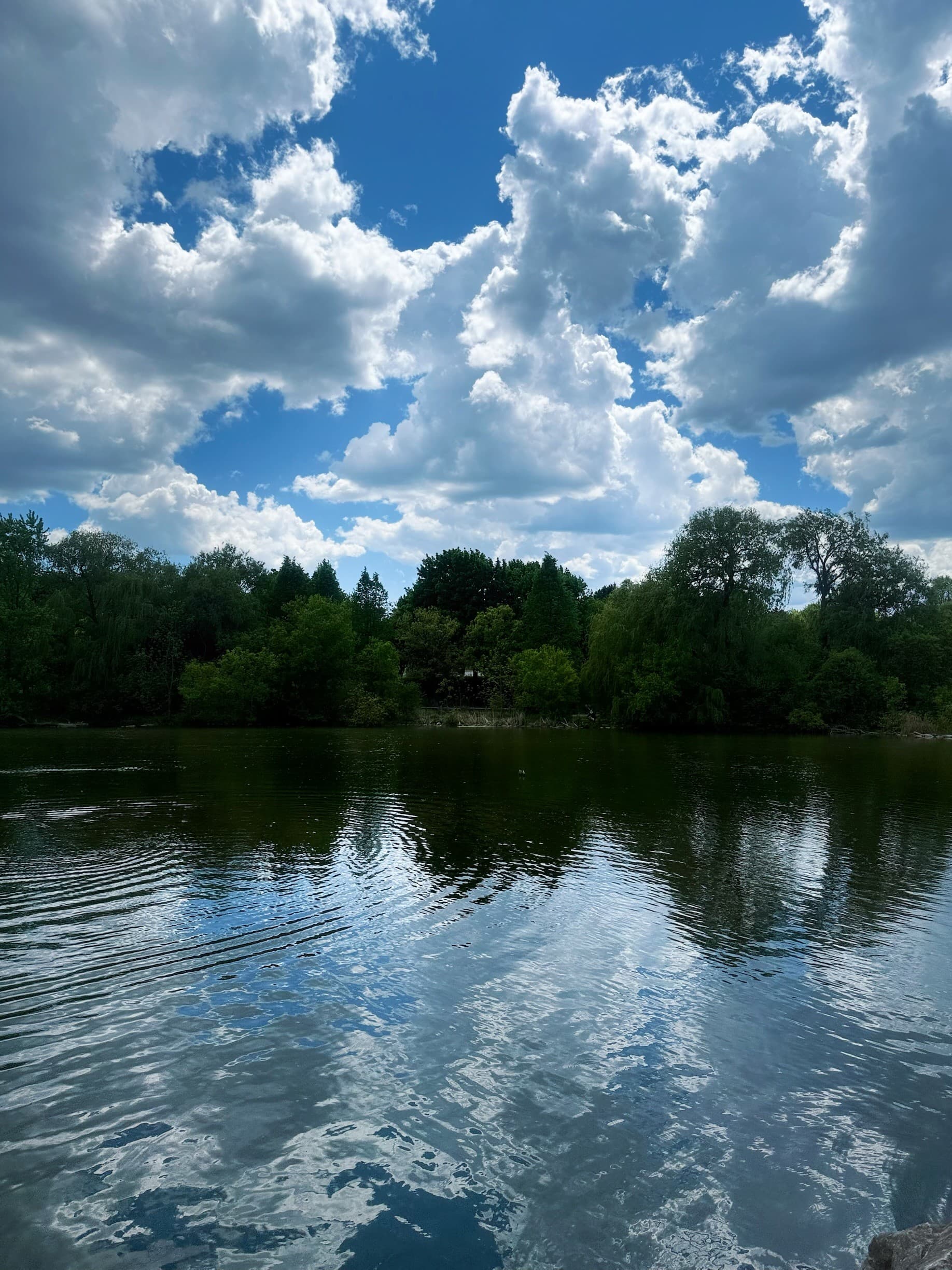 Calm therapy space